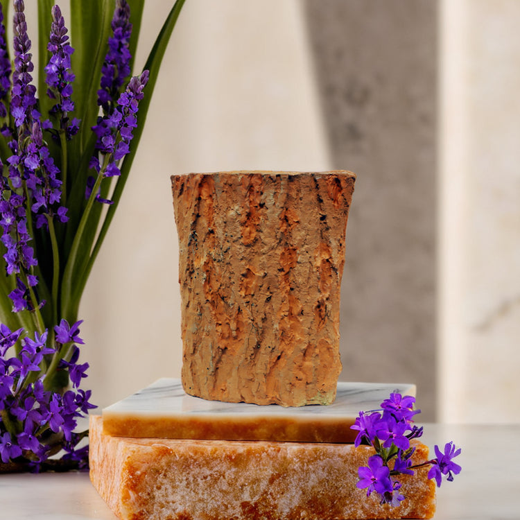 Breathing Terra 8 - Sher Ali