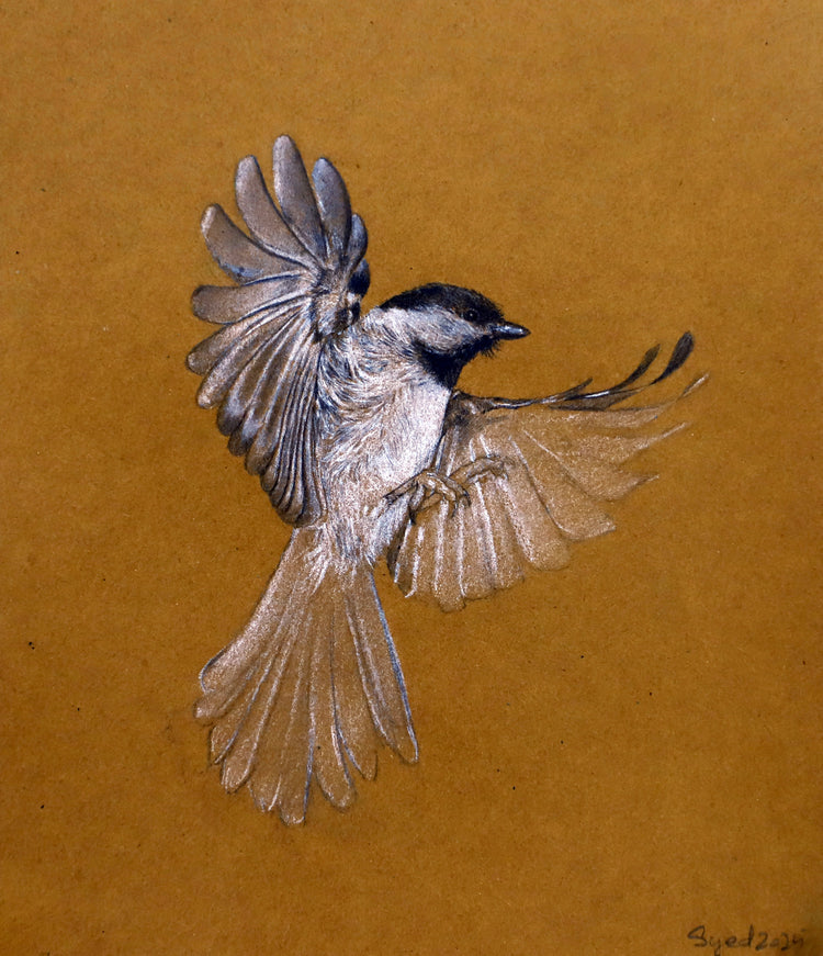 The Incomplete Sparrow - Syed Ahsan Ali