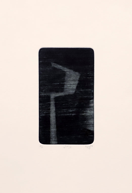 ٻرندڙ - Mir Abdul Rafio