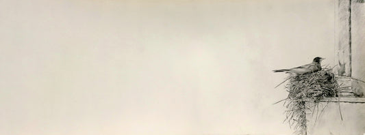 Untitled XIX  - Syed Ahsan Ali
