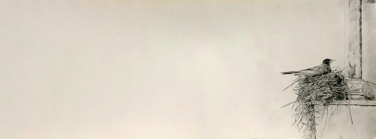 Untitled XIX  - Syed Ahsan Ali