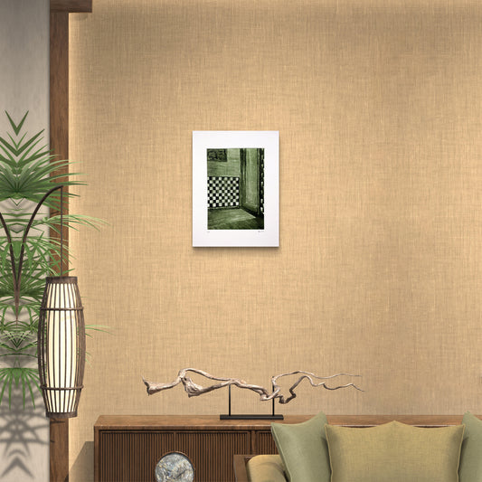 Untitled 5 - Mir Abdul Rafio