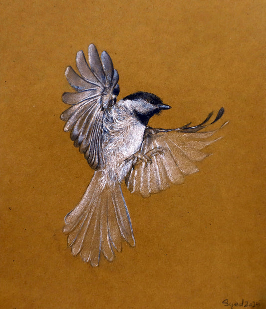 The Incomplete Sparrow - Syed Ahsan Ali
